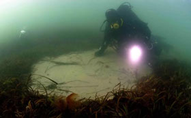 eel grass scoured by chain