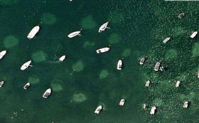 mooring field in eel grass